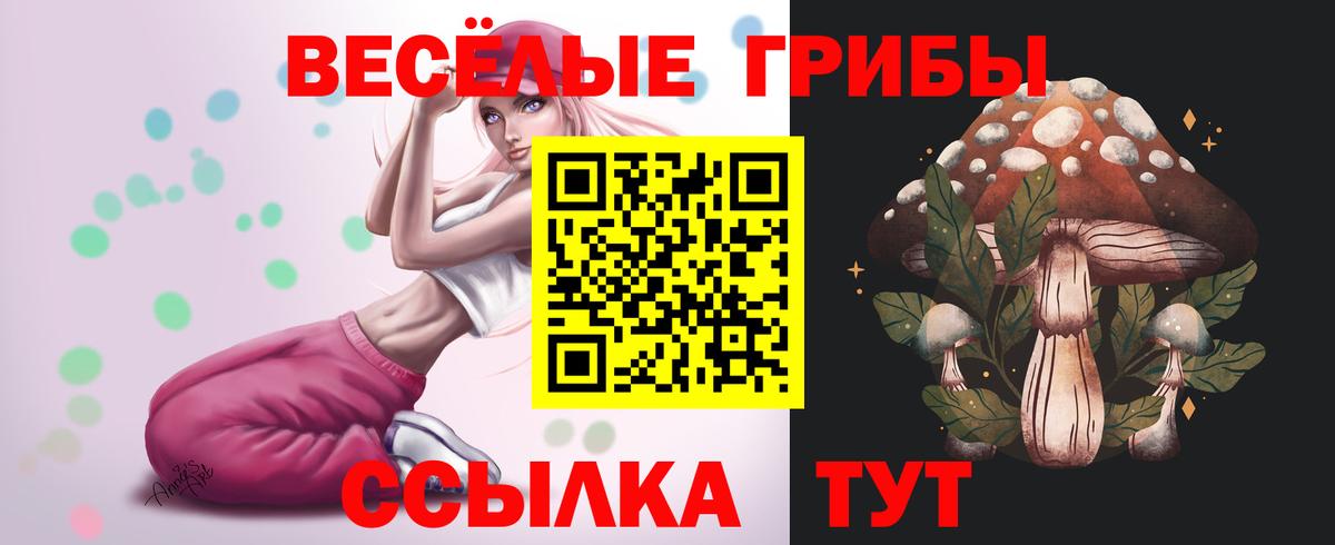 Галлюциногенные грибы MAGIC MUSHROOMS Тулун