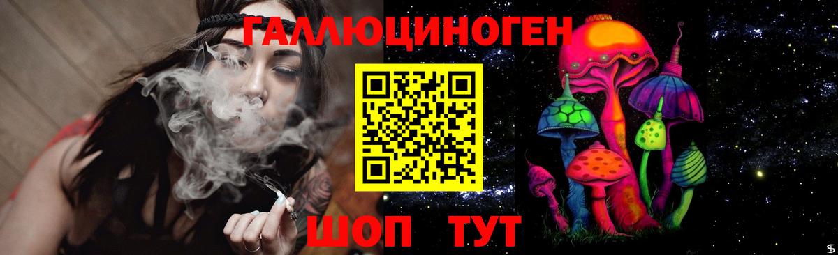 Псилоцибиновые грибы GOLDEN TEACHER  Вход с VPN  Тулун 